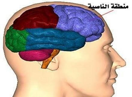 باحثون يكشفون كيفية تحديد الشخص الكاذب باحثون يكشفون كيفية تحديد الشخص الكاذب