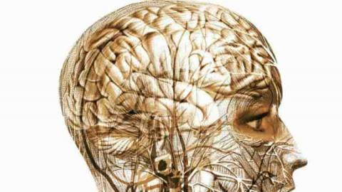 تحفيز المخ بالكهرباء "يساعد في التعافي من السكتة الدماغية" تحفيز المخ بالكهرباء "يساعد في التعافي من السكتة الدماغية"