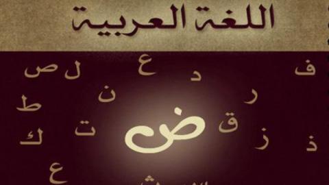 اللغة العربية تزيح الفنلندية وتحل ثانية في السويد اللغة العربية تزيح الفنلندية وتحل ثانية في السويد