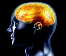 علماء: حجم دماغ الإنسان يتقلص في المساء